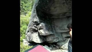 WhaleTail.mov