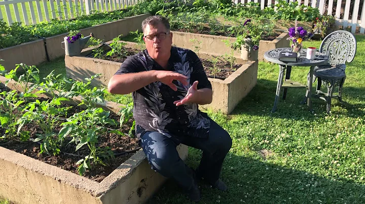 Live By Faith, Not By Fear