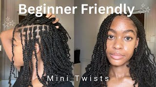The ULTIMATE guide to Mini Twists tight Afro kinky coily bulk hair on Type 4 Natural hair