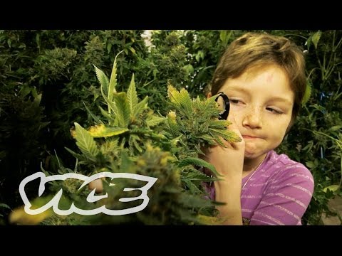 Marijuana Minors