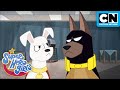 Pups to the Rescue! | DC Super Hero Girls | Cartoon Network