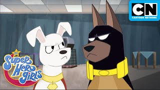 Pups to the Rescue! | DC Super Hero Girls | Cartoon Network screenshot 5