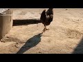 DAWA HATARI YA KUVUMA UMAALUFU KUFAHAMIKA KUPENDWA WEWE NA UNACHO KIFANYA DAWA HATARI YA KUVUMA UMAALUFU KUFAHAMIKA KUPENDWA WEWE NA UNACHO KIFANYA