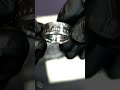 Real Silver Dollar Coin Ring!