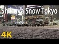 [4K60fps] Tokyo Snow (Shibuya Crossing) [Japan Travel Guide]
