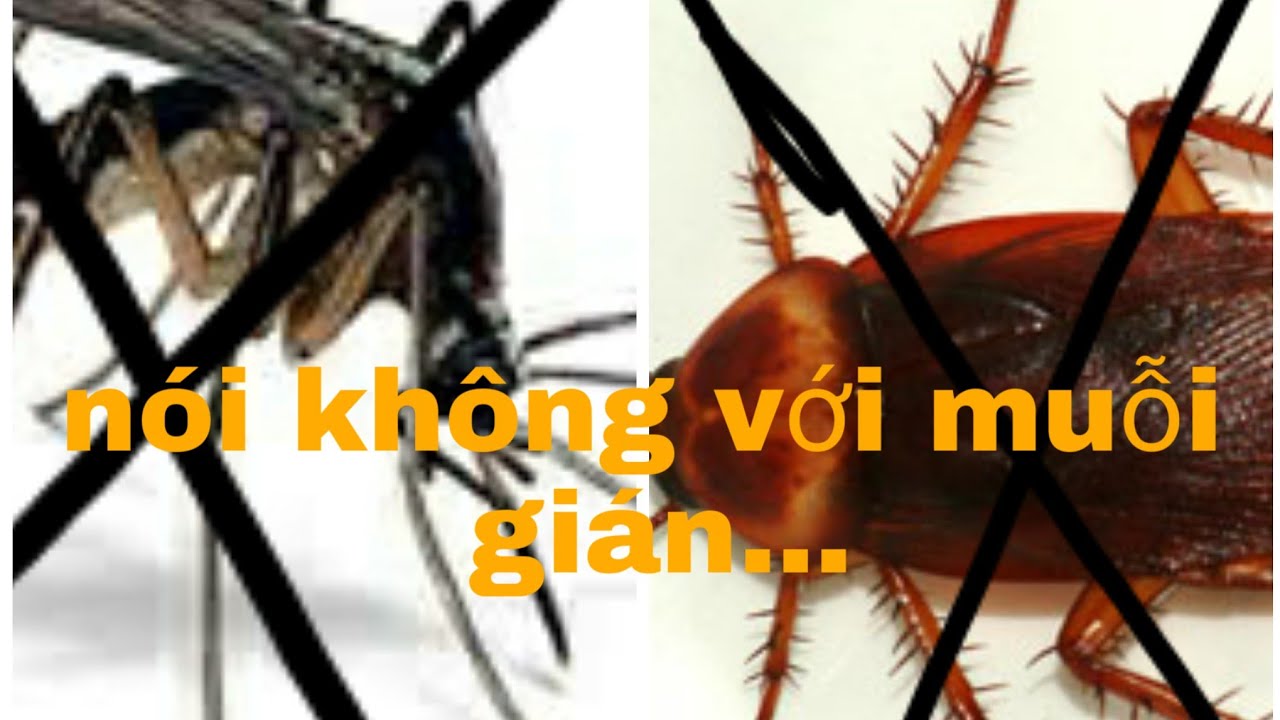 Âm thanh xua đuổi côn trùng 5 in 1 (muỗi , kiến, giáng, chuột, thạch sùng