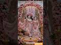 Radha Krishna Divine Darshan ✨💛 | Prem Aur Bhakti
