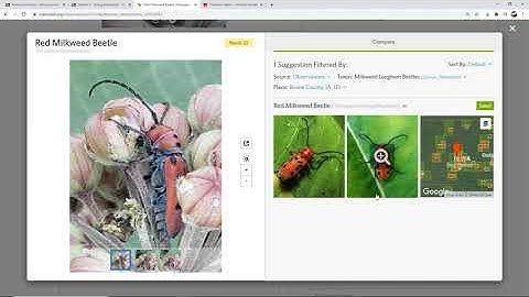 Grading System in iNaturalist