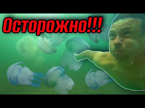 #Джемете. #Анапа. Что так БЕСИТ отдыхающих на этом курорте. Слабонервным не смотреть. (Папа с Юга)