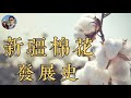 新疆棉花發展史｜穆Sir講故EP118