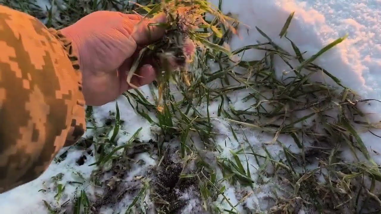 Зимові поля Дніпропетровщини. В -13 не сидиться вдома. Трохи не застряг!