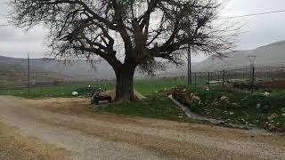Bahar Gelmiş Köyüme