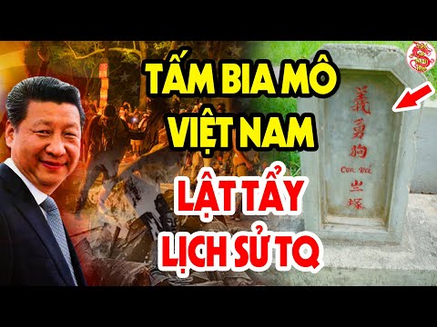 Video Dòng Chữ Trên Tấm Bia Cổ Nhất Việt Nam Tiết Lộ Sự Thật... - youtube