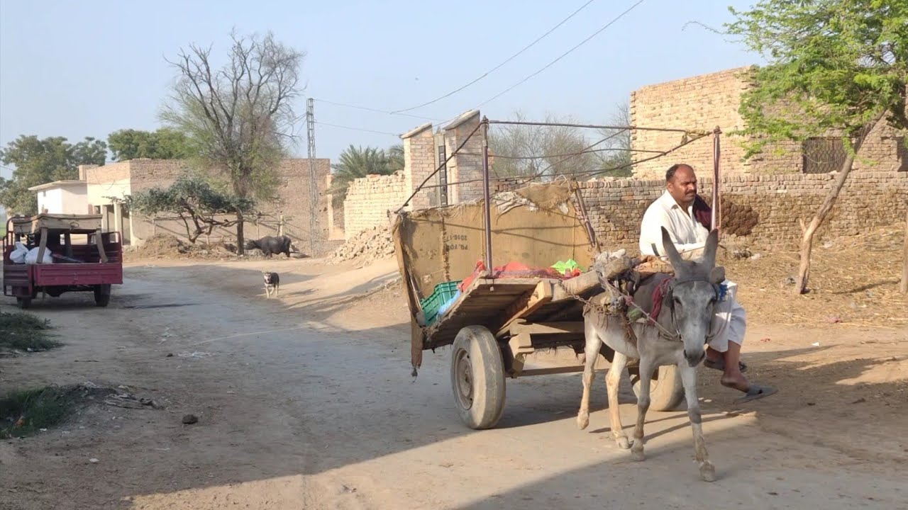 Village life Pakistan l So Beautiful village market l Pakistani Village Punjab Life Traditions)