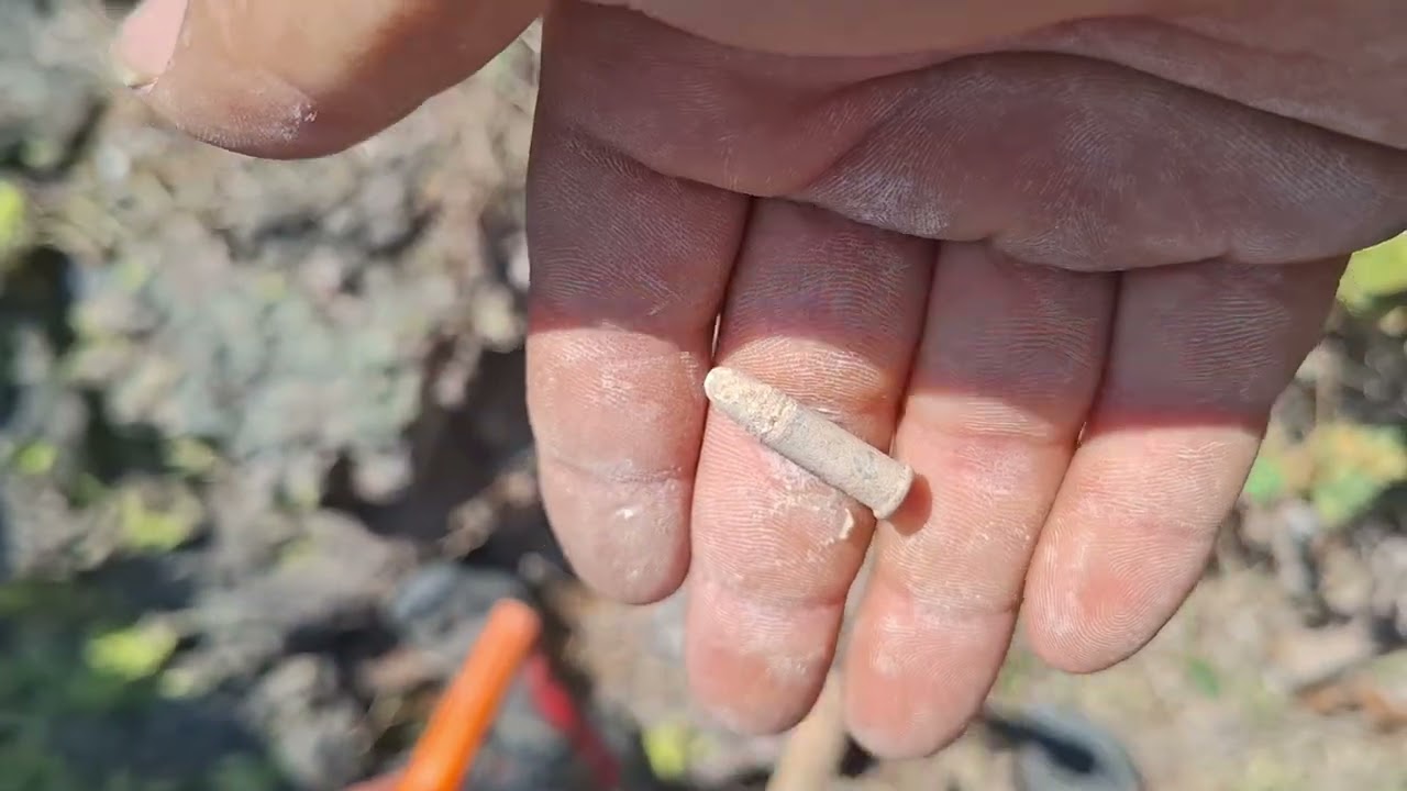El tesoro💰 del cerro de la mina en (Tlajomulco)