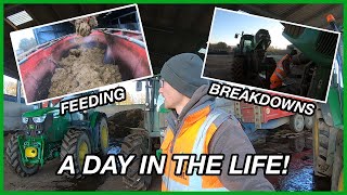 A DAY IN THE LIFE OF A FARM WORKER!