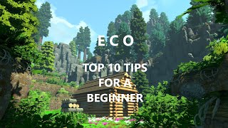 ECO - 10 Things I Wish I Knew As A Beginner