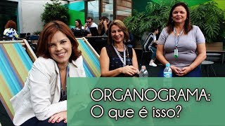 ORGANOGRAMA O que é - Clube de Contadoras #75