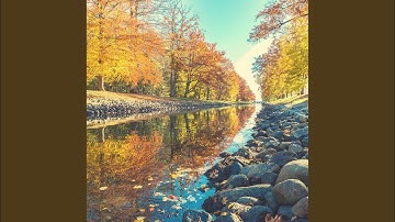 Opulent Backdrops for Finding Clarity