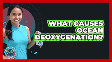 What Causes Ocean Deoxygenation? - The Marine Life Explorer