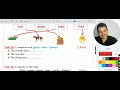 إختبار السنة 4 ابتدائي في الإنجليزية الفصل 3