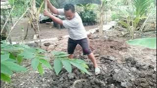 Menjadi petani, panas, berkeringat, capek, sudah tua bisa????