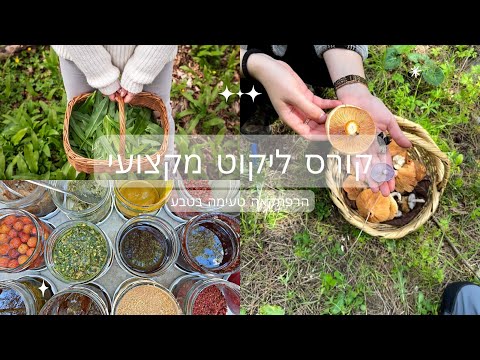 וִידֵאוֹ: צמחי חלב חורפים - למד על טיפול חורף בצמחי חלב