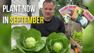 👉 Don’t Miss Out! What to Plant in Your Fall Garden RIGHT NOW 🍂