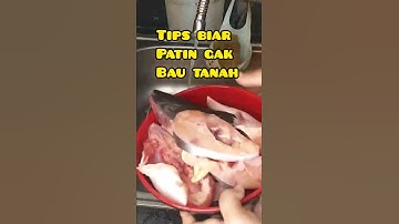 Thumbnail of TIPS BIAR PATIN GAK BAU TANAH