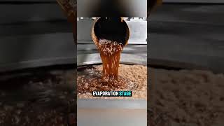 SugarRefining #ManufacturingProcess #GlobalAgriculture #FoodSupplyChain #CropToProduct