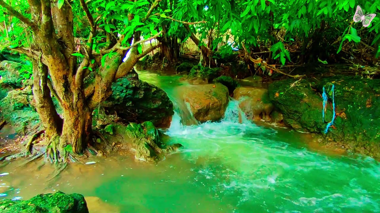 Relaxing Music For Stress Relief, Anxiety and Depressive States🌲Heal Mind, Body and Soul 74