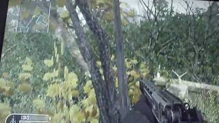 Cod4 Overgrown tree glitch