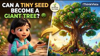How Does a Tiny Seed Grow into a Giant Tree🌱Seed Germination Explained | How Plants Grow,