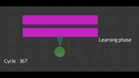 Learning Distance-Behavioural Preferences Using a Single Sensor in a Spiking Neural Network