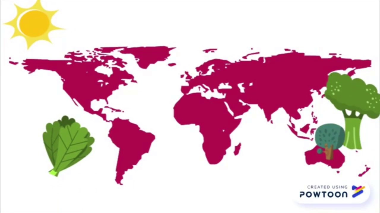 2o Grado / Map Skills