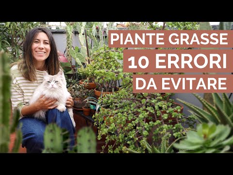 Video: Come potare una pianta succulenta: consigli per potare le piante grasse