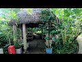 夢の島熱帯植物館 [4K]