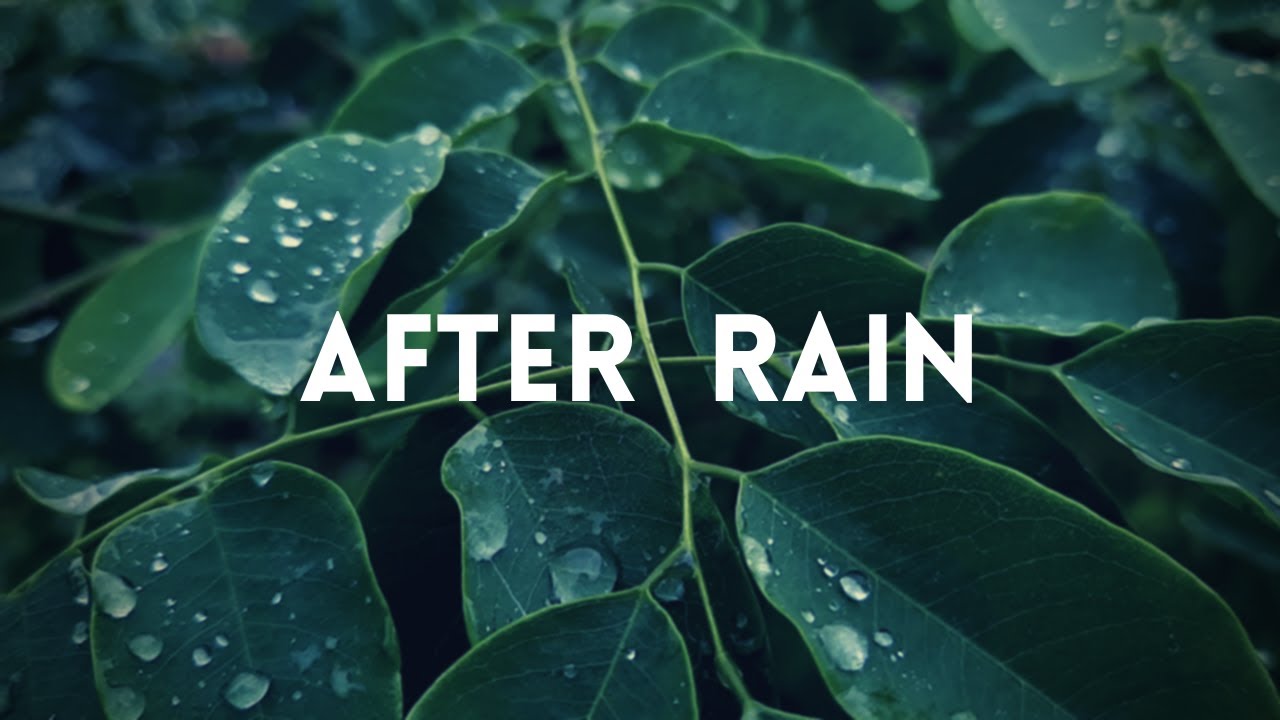After Rain Cinematic Little boy Short Film Rainy Season Monsoon