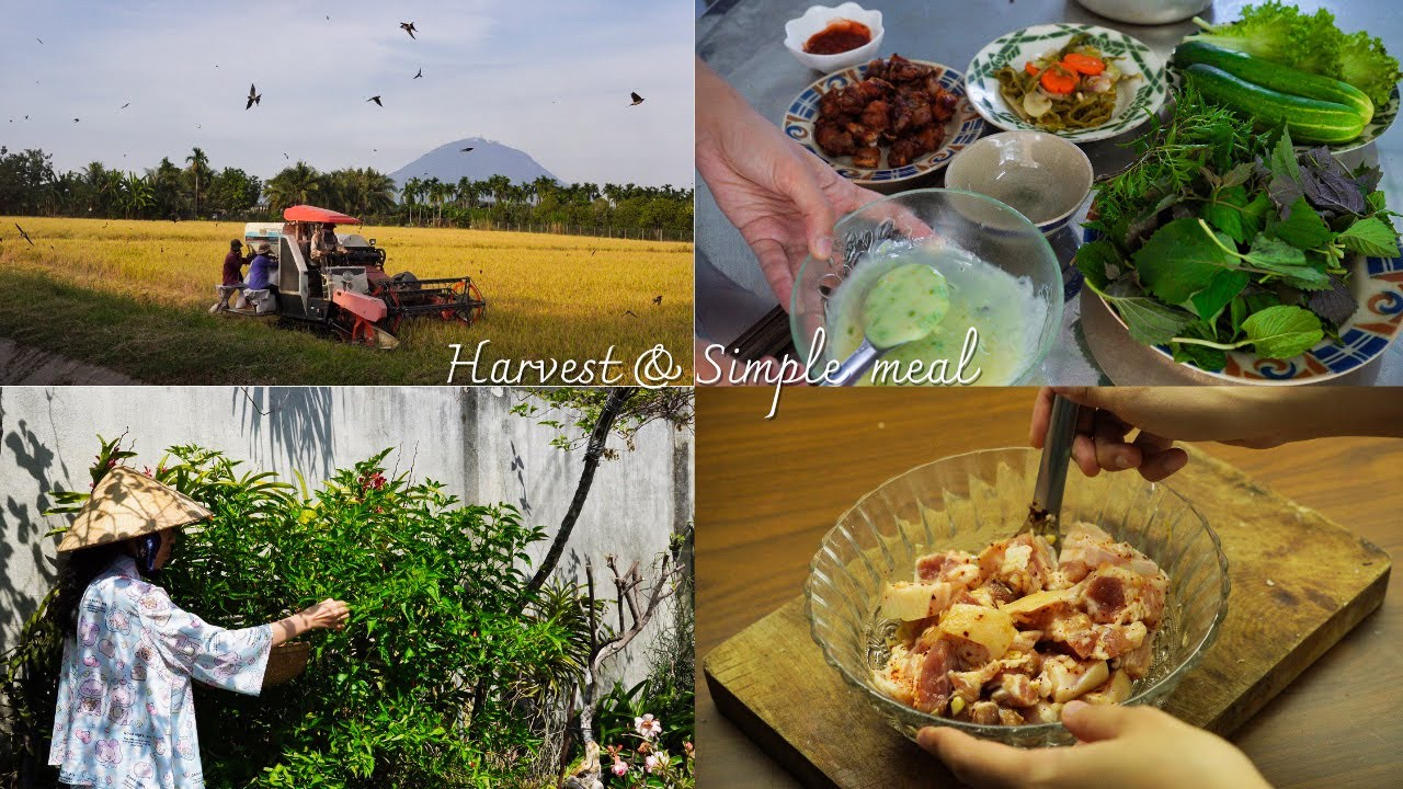 [1] Interesting Rice Harvest | Simple Grilled Pork Marinade | Bird’s Eye Chili Dipping Sauce