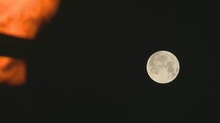 La super lune de l'esturgeon illumine le ciel de Qamichli en Syrie | AFP Images