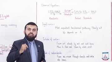 Class 9 - Biology - Chapter 7 - Lecture 3 Photosynthesis,  Effects of Light - Allied Schools