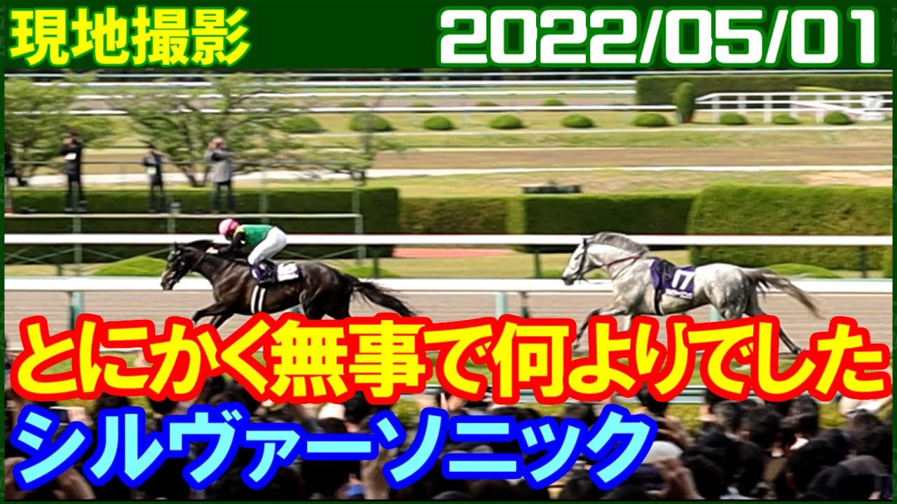 現地撮影 シルヴァーソニック無事で何よりでした 天皇賞春 22年5月1日 Youtube