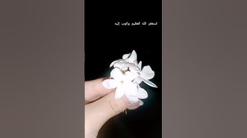 #آية #تلاوات #سورة #قرآن #خشوع #holyquran #quran #telawat #trend #trending