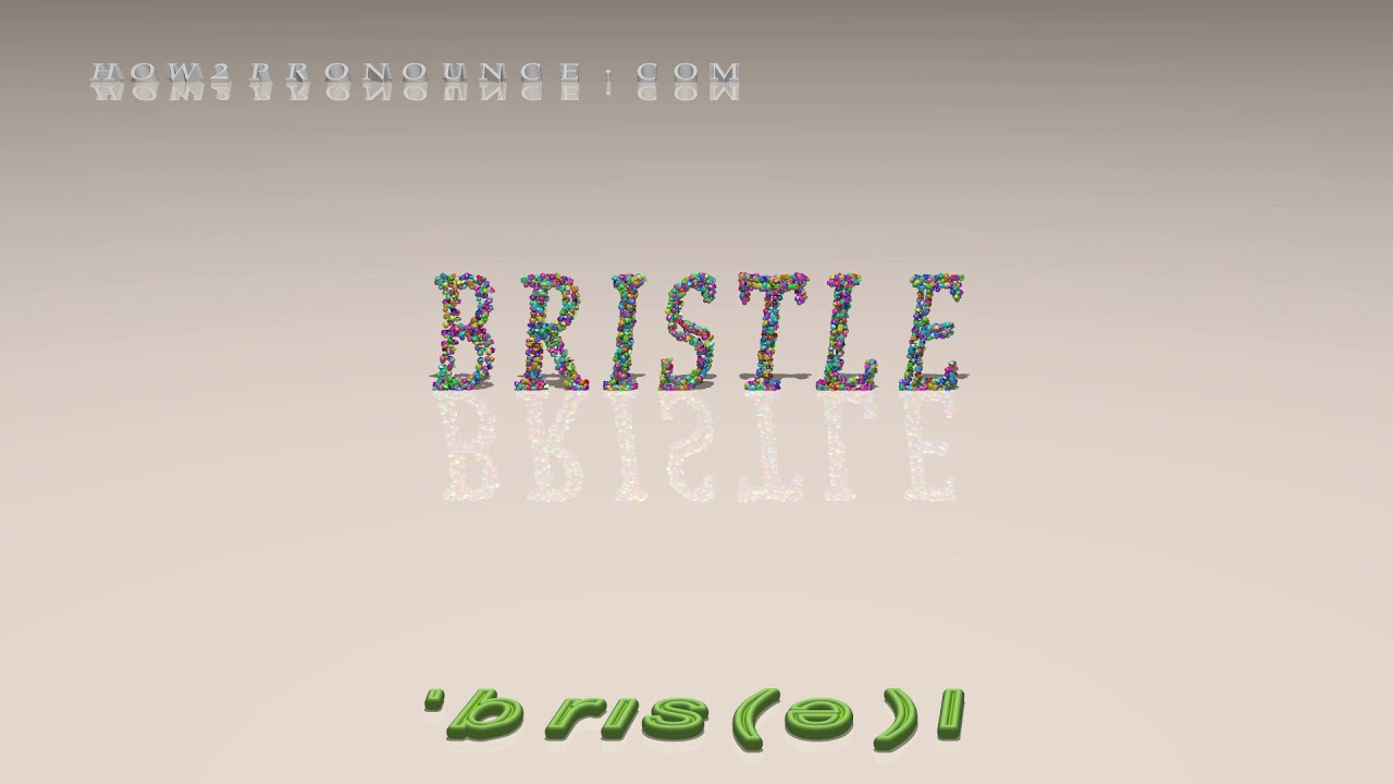 bristle pronunciation + Examples in sentences and phrases YouTube
