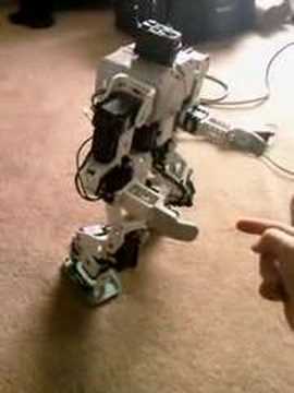 Bioloid Humanoid Robot attempting dynamic standing