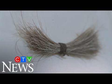 Lock of Abraham Lincoln's hair up for auction