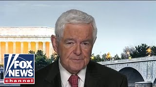 Newt Gingrich tears into Kamala Harris: ‘Totally unfit’ to be vice president