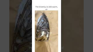 The tiramisu is still warm, sir #viral #shortvideo #shorts #viralvideo #funny #comedy #fyp #ironman