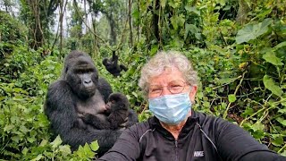 Uganda Safari Road Trip: Gorilla Trekking & Wildlife Adventure Uganda Safari Road Trip: Gorilla Trekking & Wildlife Adventure