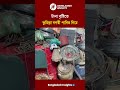 টানা বৃষ্টিতে কুমিল্লা নগরী পানির নিচে #heavyrain #rain #cumilla_news